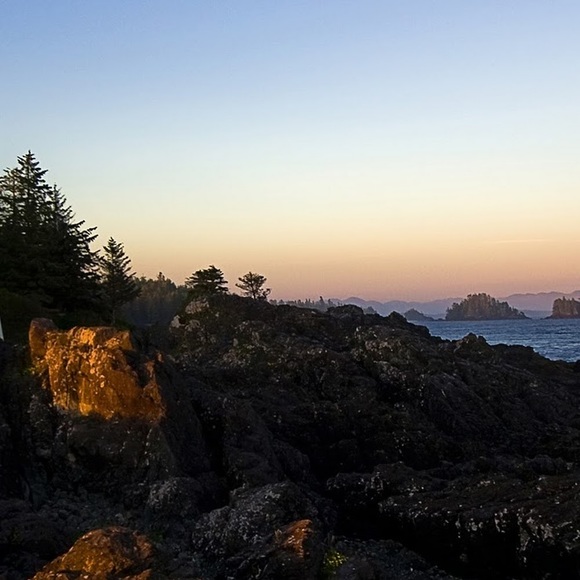 Meet your Posher, Paula - Picture 1 of 1